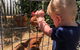 Cygnet Conservatory - thumb 1