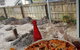 El Perro Tapas & Pizza - thumb 2