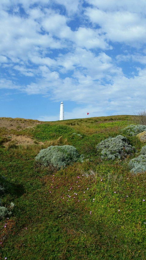King Island Golf - Australian Directory 3