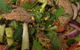 Pluny's Thai Cafe - thumb 8