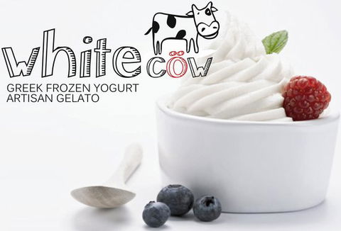 White Cow - Greek Frozen Yogurt, Artisan Gelato - Australian Directory 0