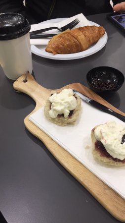 Wilderness Espresso - Australian Directory 0