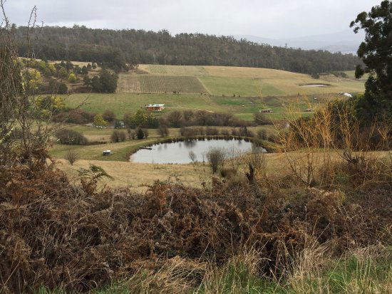 Glaziers Bay TAS Australian Directory