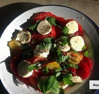 Casa Pinocchio - Australian Directory