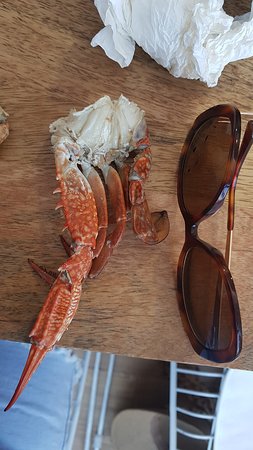 Seafood Nation - Australian Directory 0
