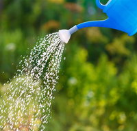 Midcoast Water - Australian Directory