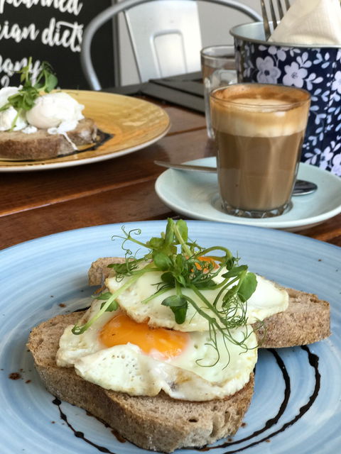 Health Feak Cafe - Australian Directory 6