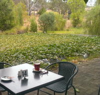 Avocados - Australian Directory