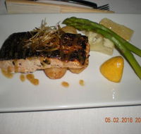 Mallard Duck - Australian Directory