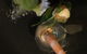 Redmanna Waterfront Restaurant - thumb 11