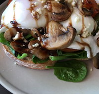 Hedgehogs Cafe - Australian Directory