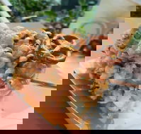 Schlice - Australian Directory