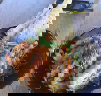 The Strand Byford Lakeside Restaurant  Cafe - Australian Directory