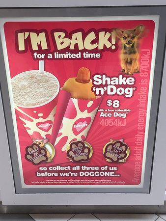 Wendy's Bunbury Centrepoint - Australian Directory 0