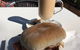 Black Rock Cafe - thumb 9