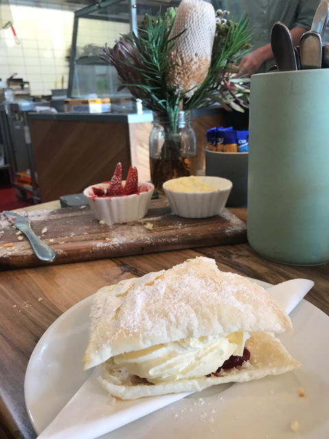 Bushlolly Cafe - Australian Directory 6