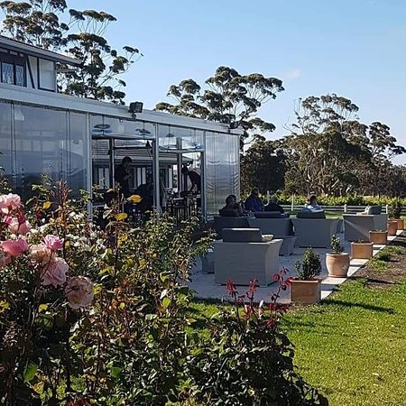 Castelli Vineyards - Australian Directory 0