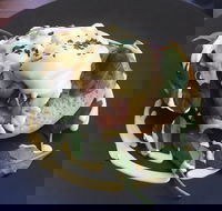 Catalano  Co - Australian Directory