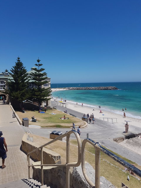 Cottesloe General Store - Australian Directory 4