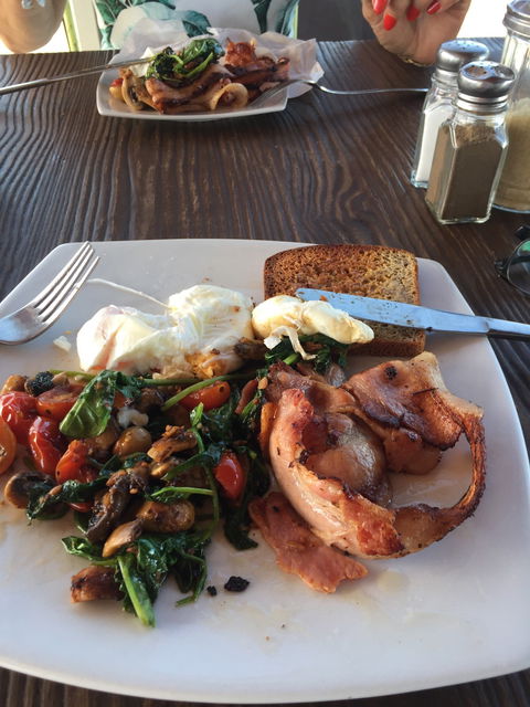 Ellie's Cafe - Australian Directory 4