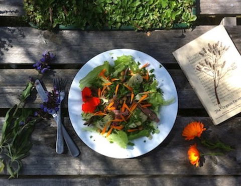 Fair Harvest Farm Cafe - Australian Directory 0