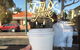 Felix & Co. Specialty Coffee - thumb 1