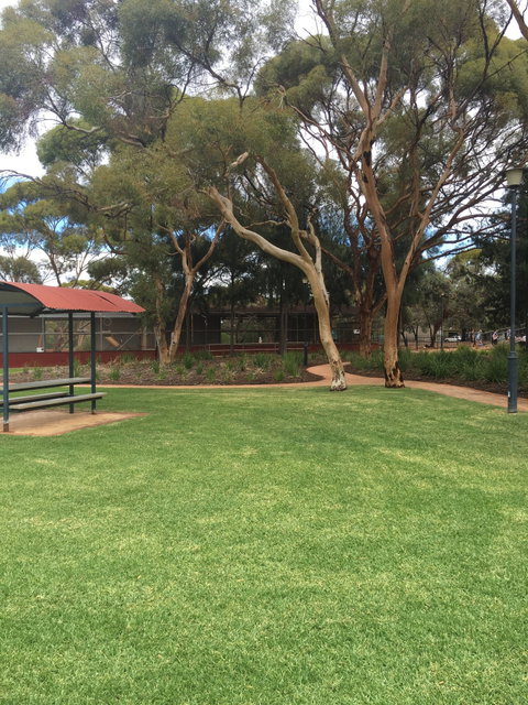 Plum Cafe At The Park - Australian Directory 1