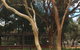 Plum Cafe At The Park - thumb 4