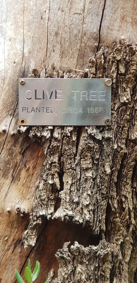 Redcliffe On The Murray - Australian Directory 1