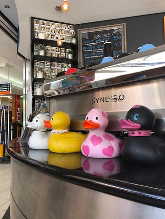 Floreat WA Australian Directory