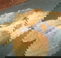 The Taj Restaurant - Australian Directory