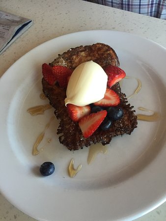 Whistling Kite - Australian Directory 0