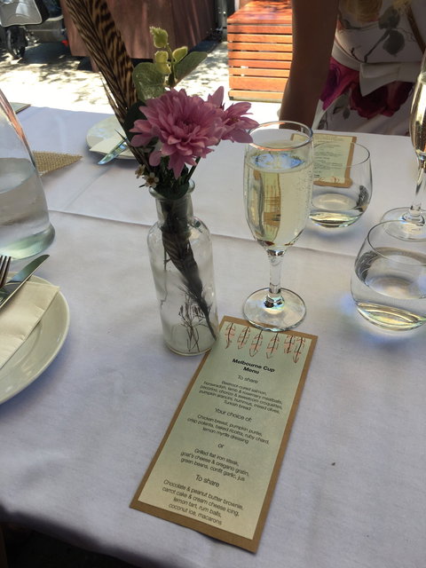 Whistling Kite - Australian Directory 2