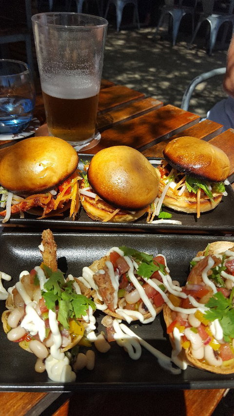 Whistling Kite - Australian Directory 3