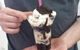 Baskin Robbins - thumb 0
