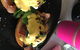 Benesse Bunbury - thumb 1