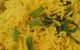 Chefs Of Tandoori - thumb 10