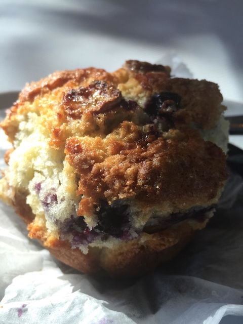 Fat Duck Cycles + Espresso - Australian Directory 1