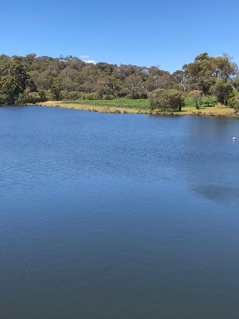 Flutes Restaurant - Australian Directory 3