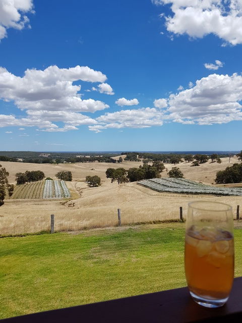 Green Door Winery & Cafe - Australian Directory 5