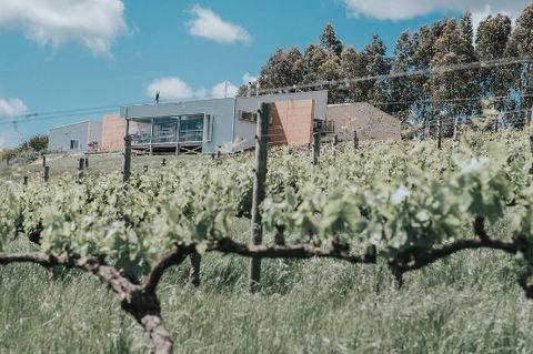 Green Door Winery & Cafe - Australian Directory 0