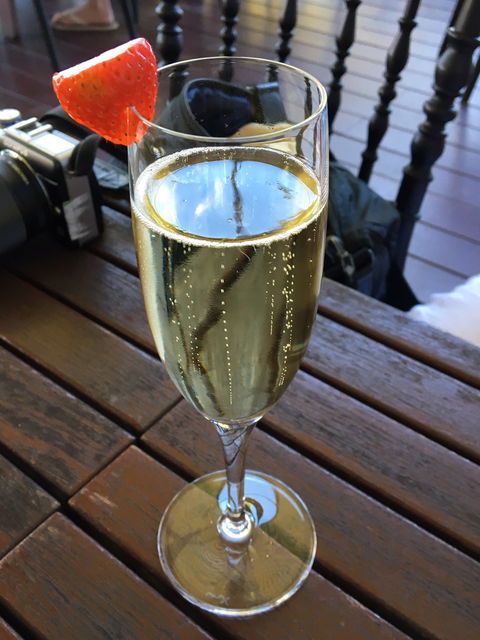 Hay Shed Hill Wines - Australian Directory 6