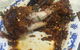 Hong Kee Restaurant - thumb 8
