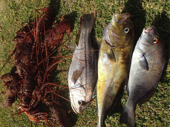 Ledge Point WA Australian Directory