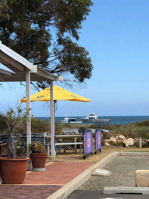 Seashells Cafe - Australian Directory 1