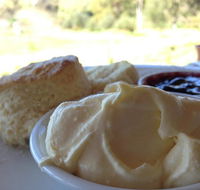 Tanglefoot Winery Cafe - Australian Directory