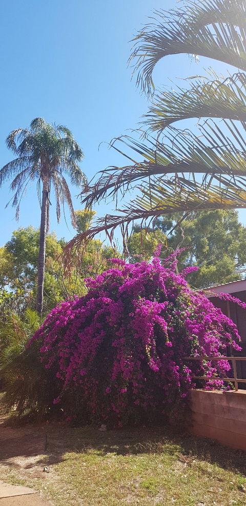 The Pickled Bean - Australian Directory 1