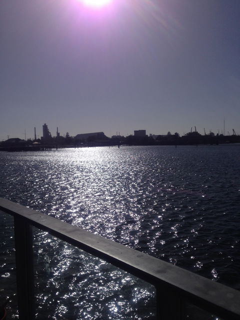 Folklore Cafe - Australian Directory 2