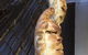 Molto Bene Pizzeria - thumb 1