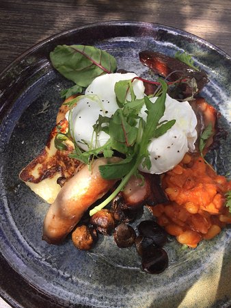 Thebarton SA Australian Directory